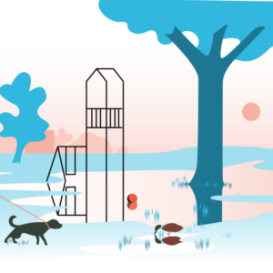 Grondwaterstanden Rotterdam